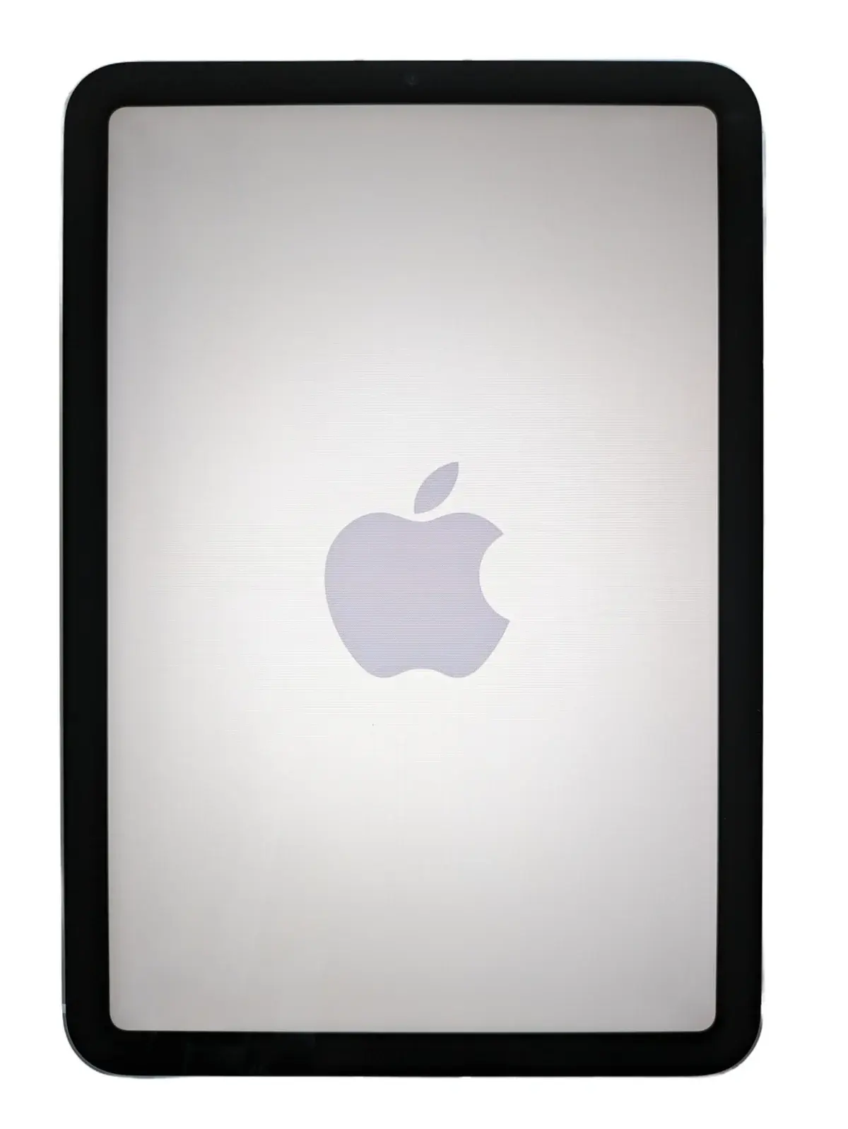 Apple iPad mini shown front-on on a white background.