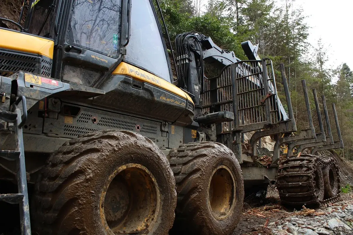 A large forestry machine in a forest.